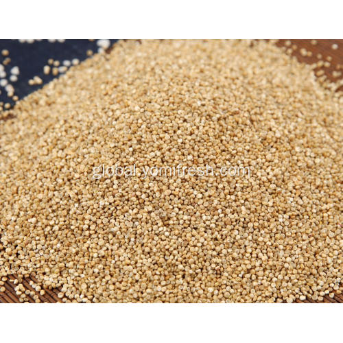 China Quinoa Vs Rice Manufactory